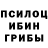 Галлюциногенные грибы Cubensis Lucas Michel