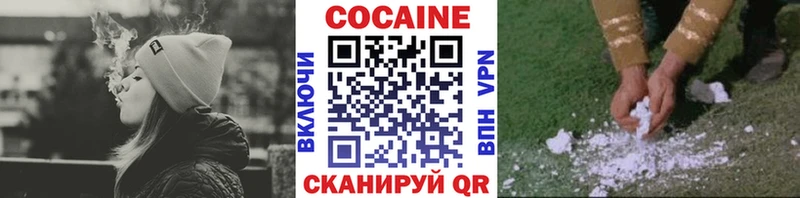 купить наркотик  Краснознаменск  Cocaine Fish Scale 