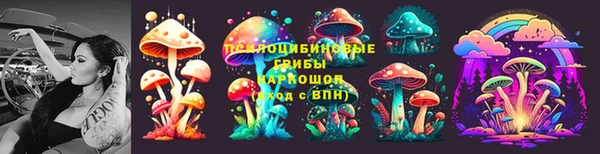 дурь Алзамай