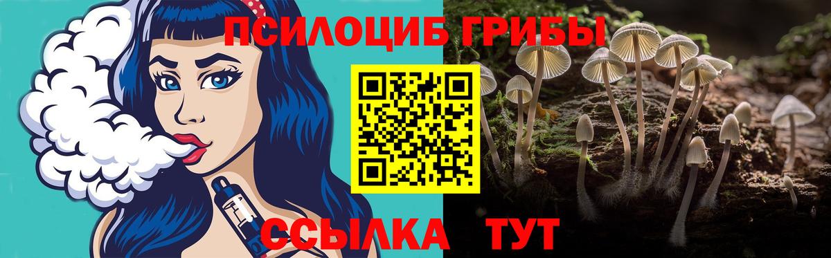 Галлюциногенные грибы MAGIC MUSHROOMS  Псилоцибиновые грибы мицелий  Краснознаменск  Вход с VPN 