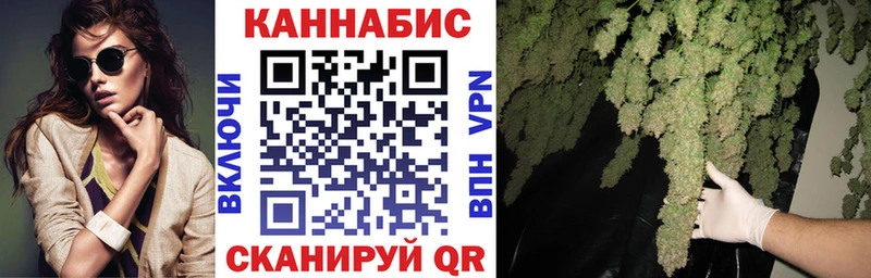 Бошки Шишки план продажа наркотиков Краснознаменск