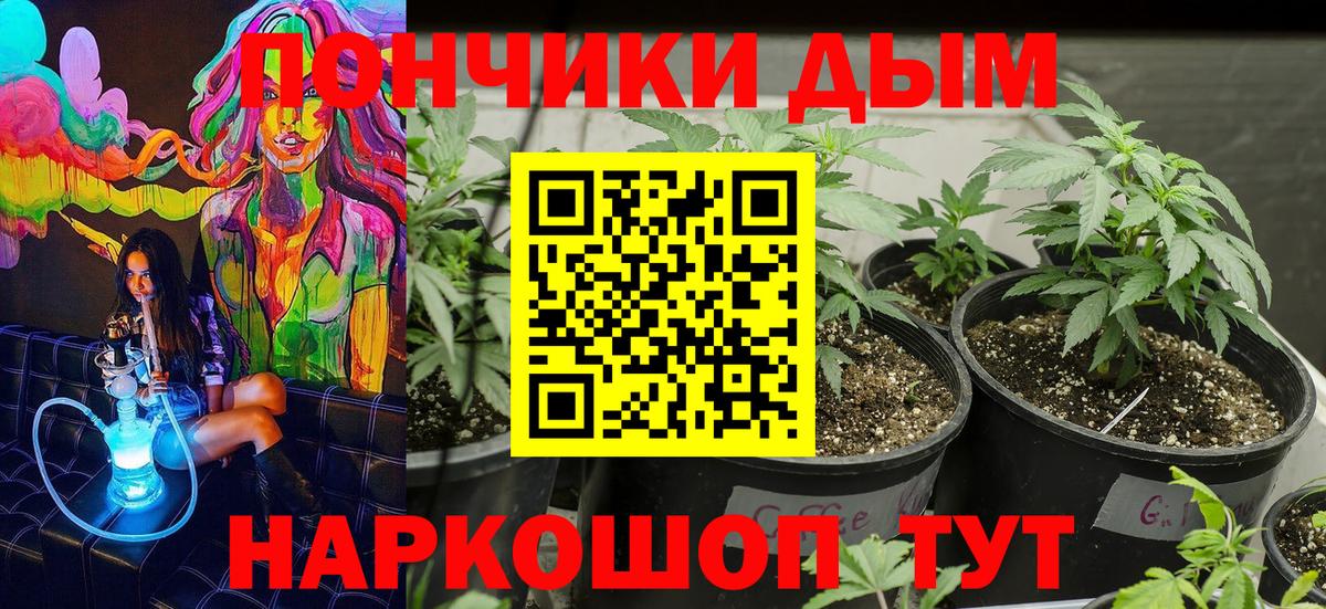 Конопля OG Kush Краснознаменск